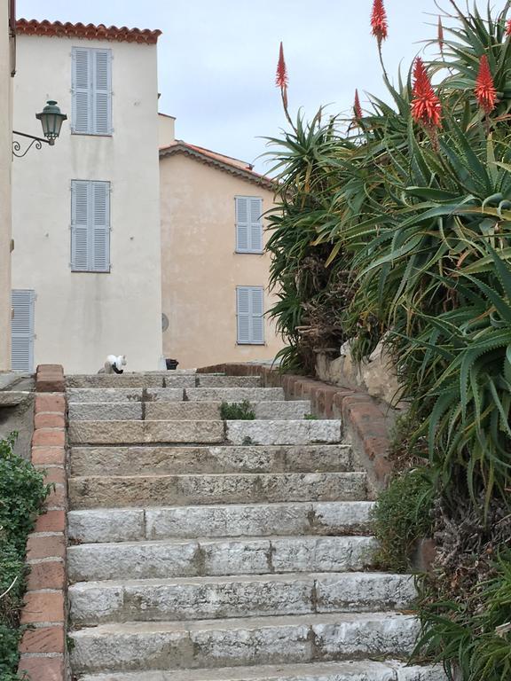 فيلا Cap Antibes Les Bosquets المظهر الخارجي الصورة