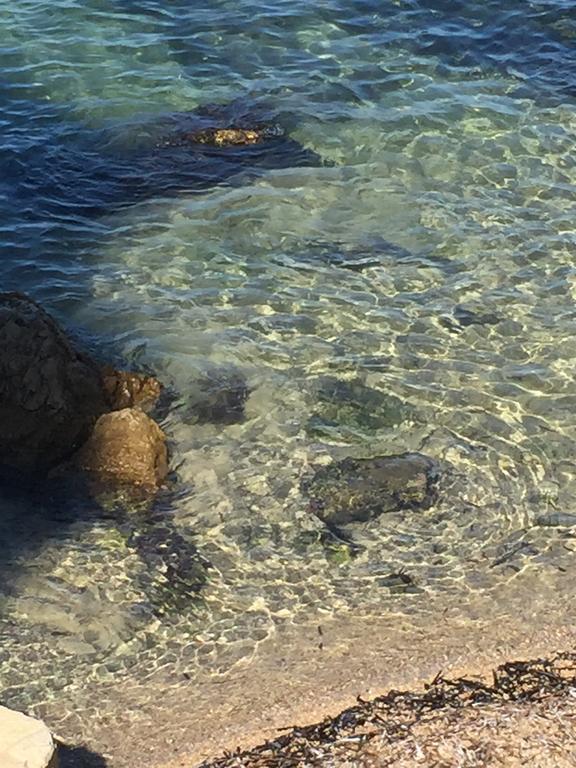 فيلا Cap Antibes Les Bosquets المظهر الخارجي الصورة